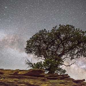 张雨欣全球裸体视频
